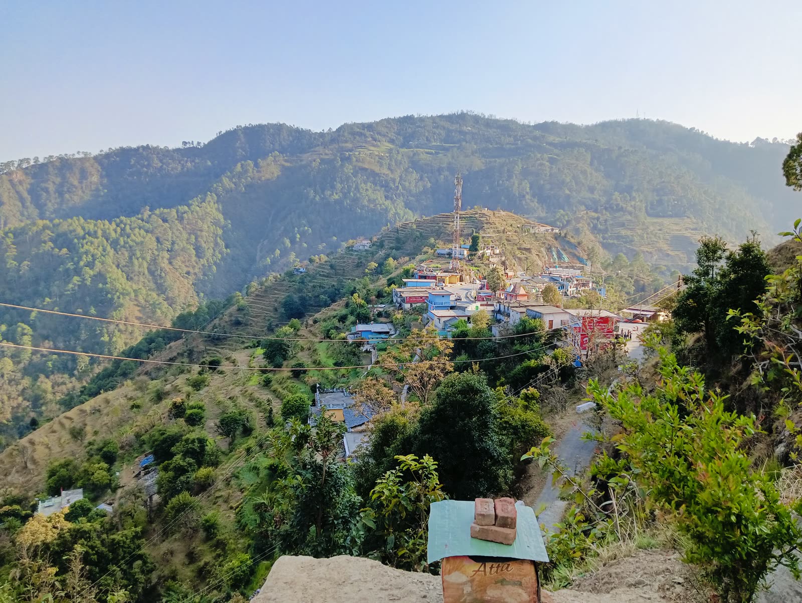 Terraced hillsides and forest in Champawat district, Uttarakhand