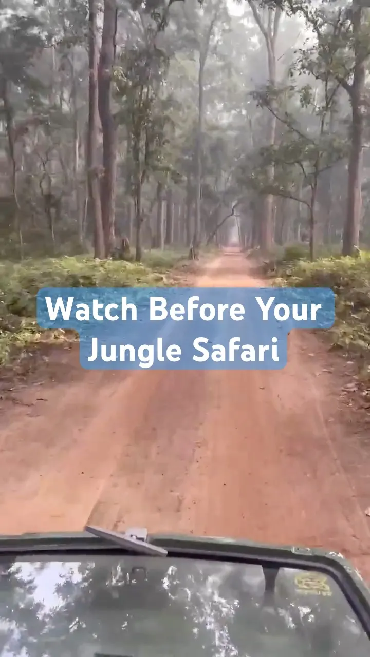 सावधान! Jungle सिर्फ घूमने की जगह नहीं है