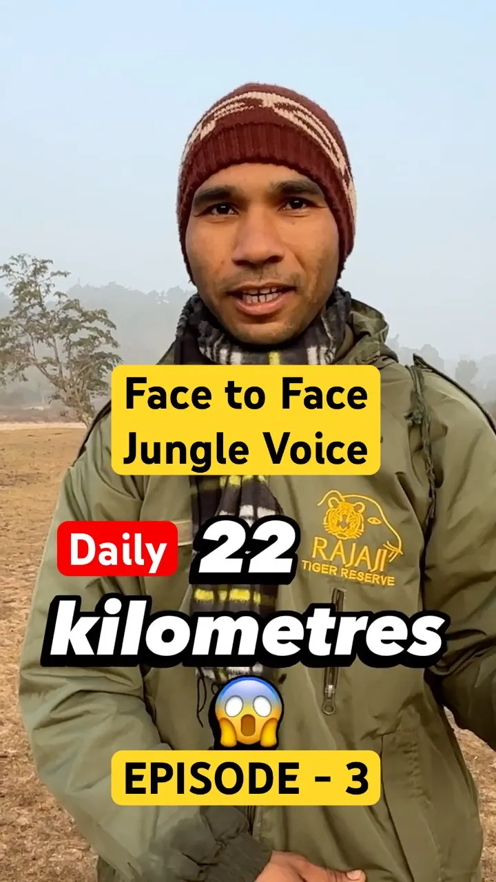 Face to Face with a Jungle Hero | Shocking Stories of a Jungle Forest Guide