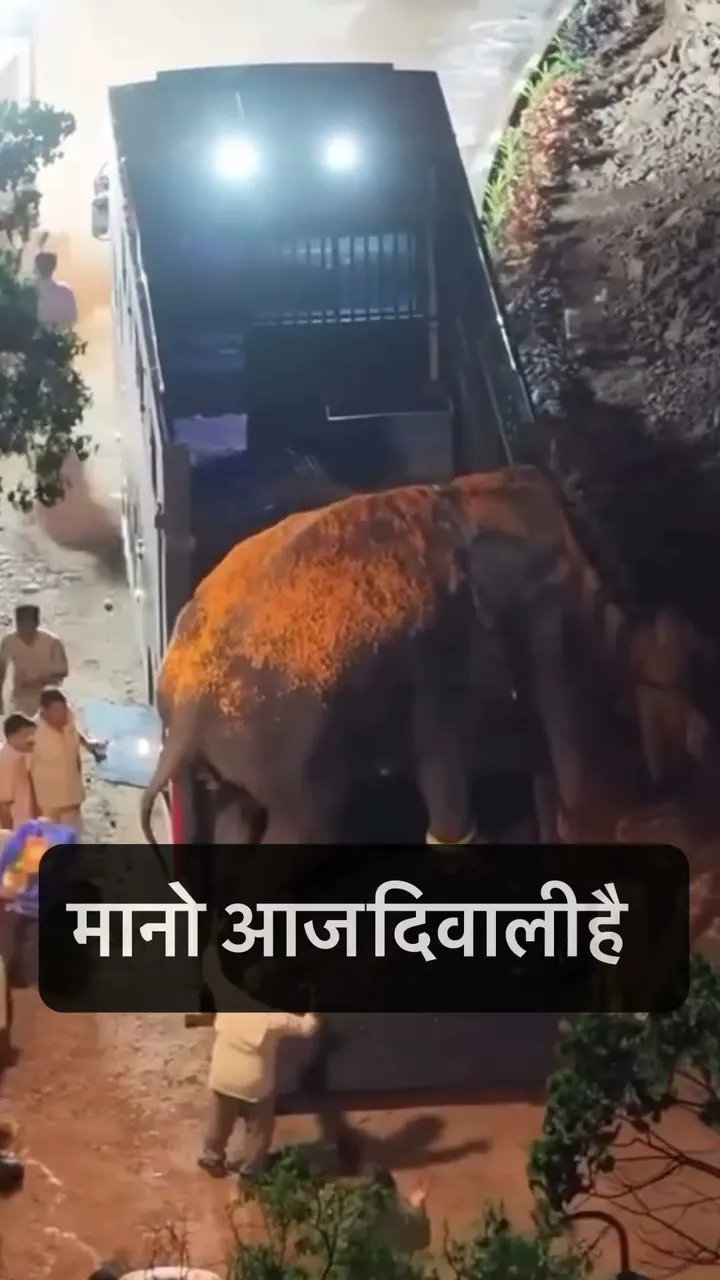 माधुरी की सेहत का सच क्या है? 🐘🩺