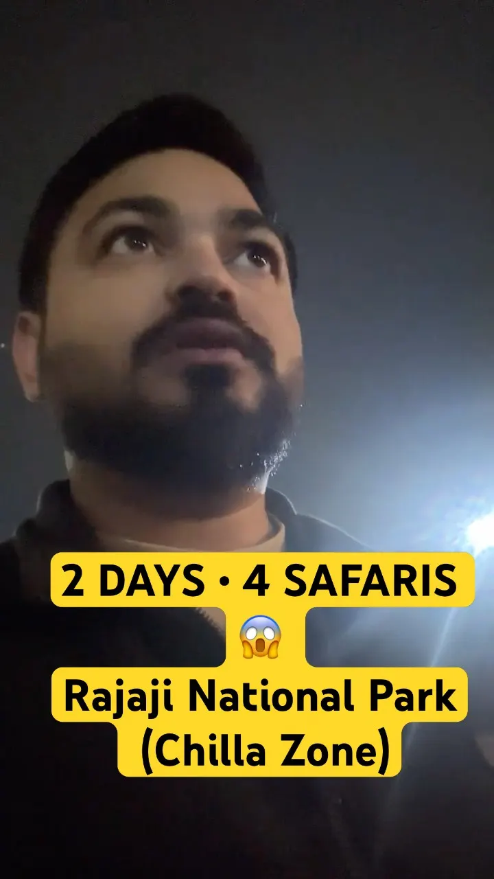 RAJAJI JUNGLE SAFARI 😱 | 4 Planned Safaris in 2 Days 🐘