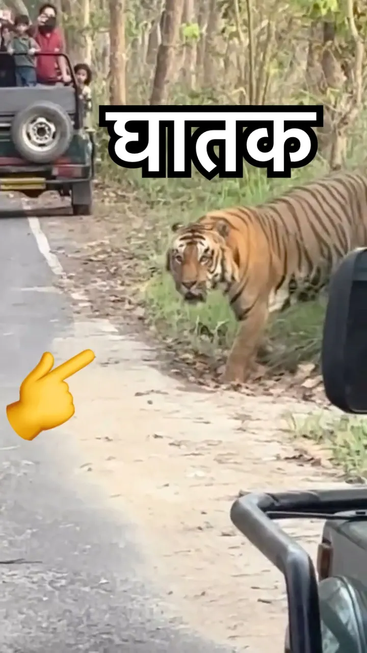 टाइगर की दहाड़ और खौफनाक मंजर 🐯🔥 S2 or S3?