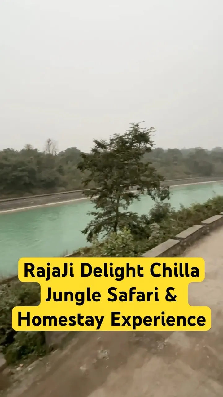 Safari Done ✅ Night Stay Near Ganga 😱 Rajaji Delight Chilla