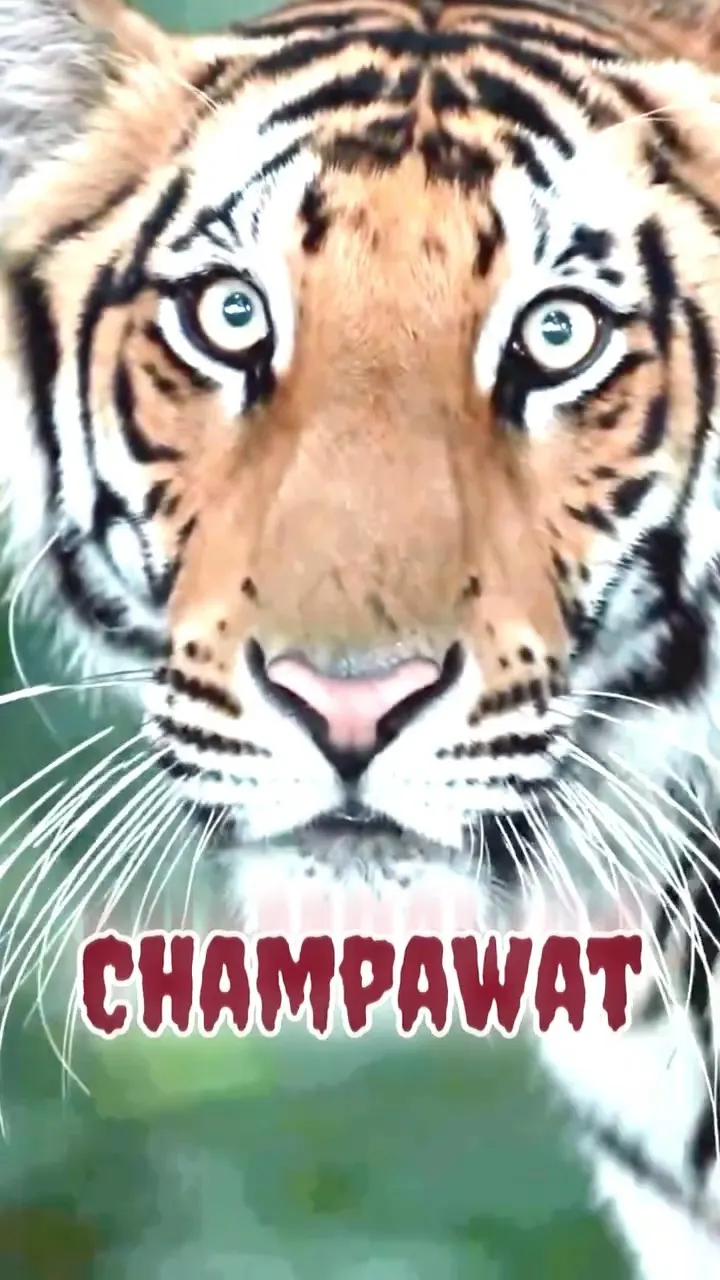 Champawat