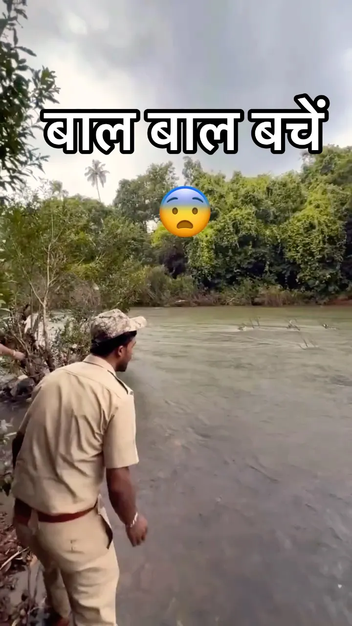 The Forest Guards Called His Name 🥺🐘 And Baby Omkar Came Swimming Back