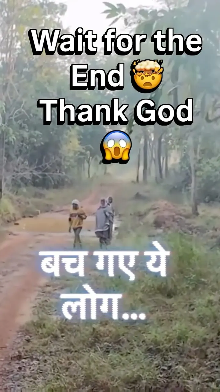 TIGER CLOSE CALL😱 PEOPLE ON FOOT IN JUNGLE!