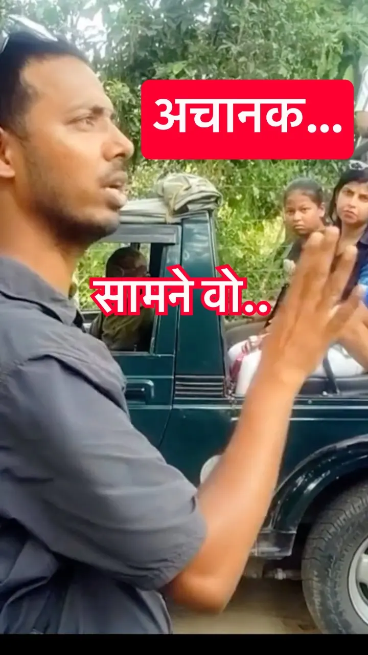 सफारी के नियम बताए जा रहे थे 🐯😨 Then This Walked Out in Front of Everyone