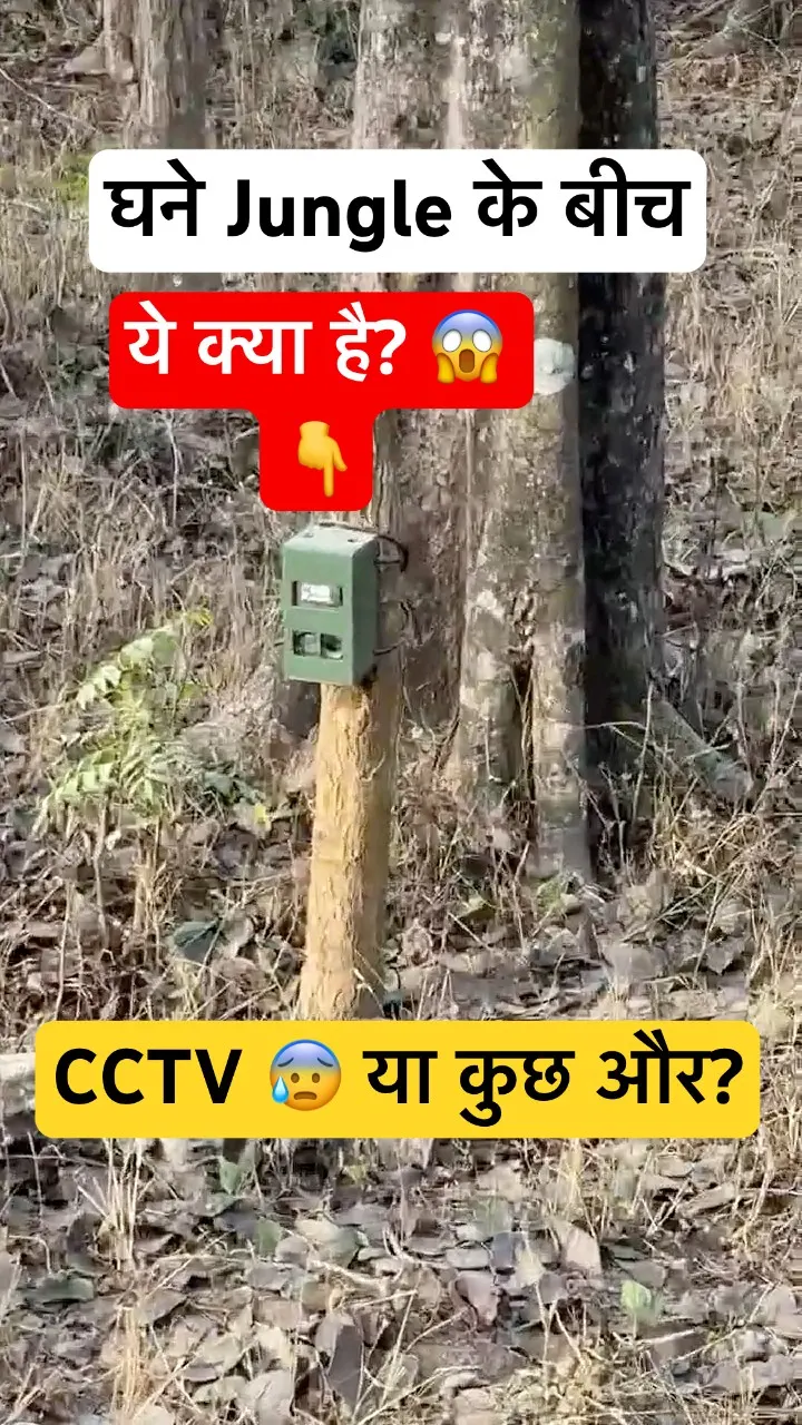 ये कैमरे तेंदुओं को कैसे बचाते हैं? 🌿 Shocking!