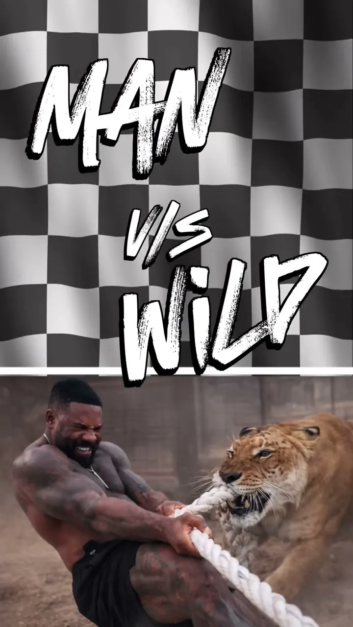 Human vs Lion 😱 Tug of War 🐅 इंसान शेर रस्साकशी 🤔कौन जीतेगा?