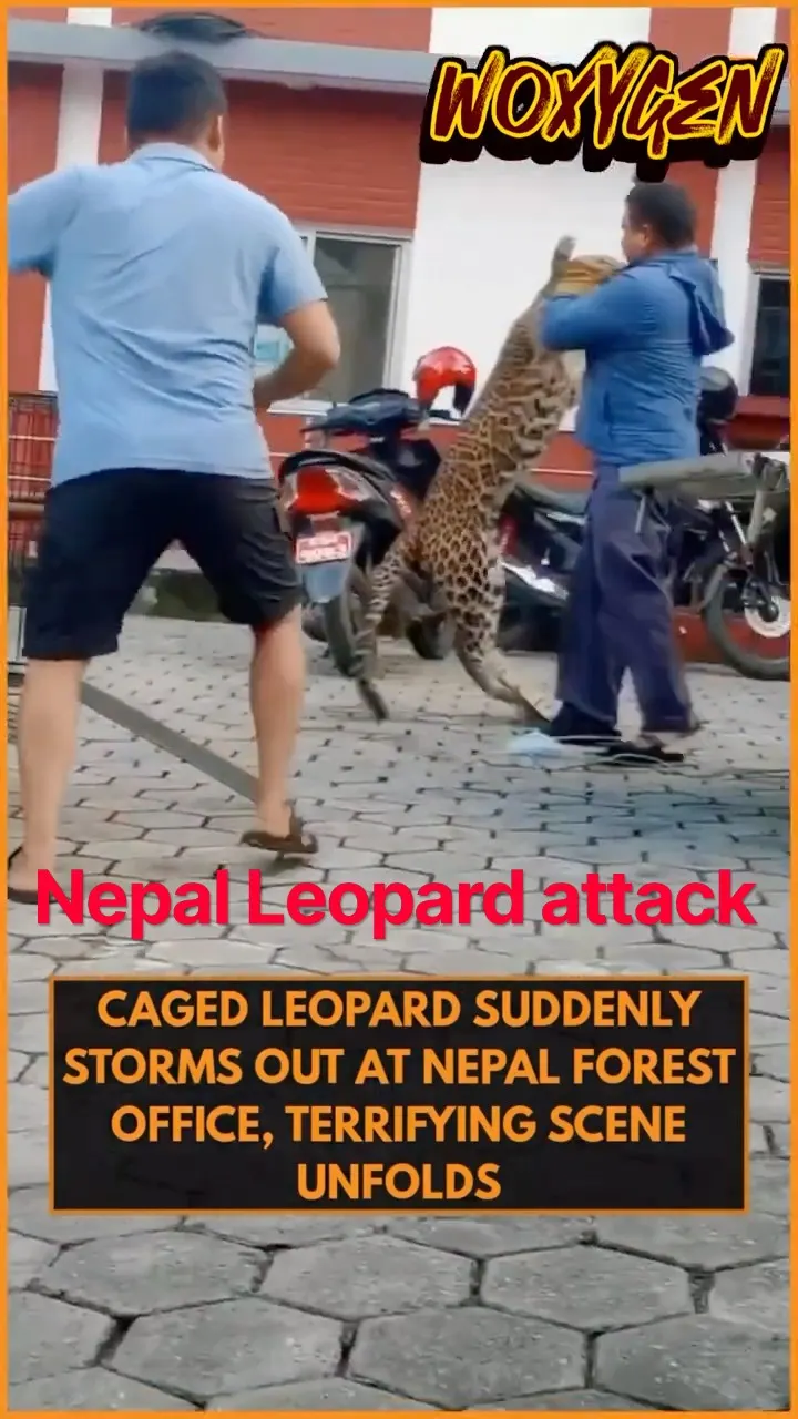 जान पर खेलकर किया तेंदुए का रेस्क्यू 🙏
