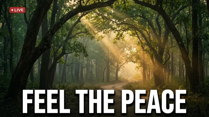 LIVE FROM THE JUNGLE 🌿 This Is Your Time | Peaceful Forest Sounds to Quiet Your Mind
