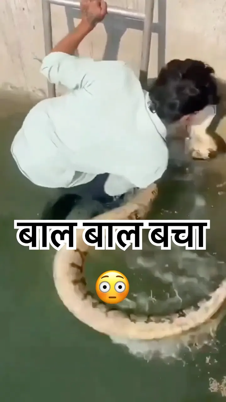 सोसायटी के टैंक में अजगर?! 😱 What would you do if you saw this in your tank? 🐍