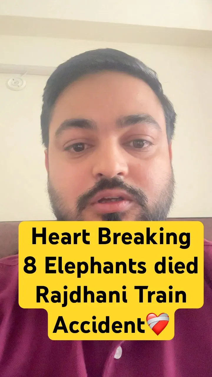 Accident 8 Elephants died 😰 Asam Rajdhani Train Accident 😥 No Human casualty