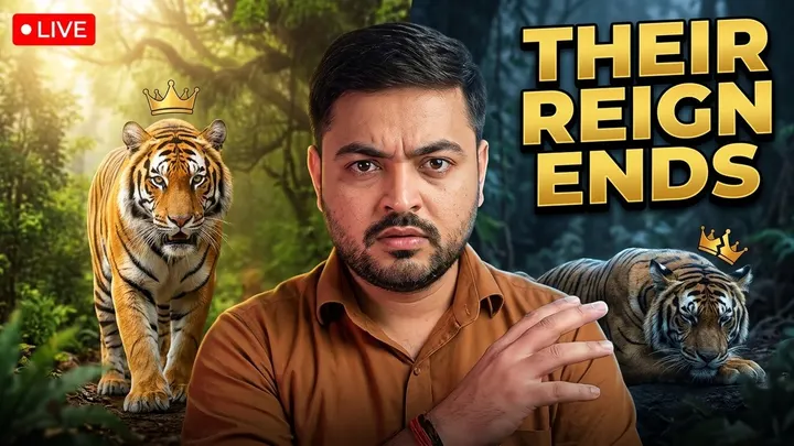 This Is Not One Tiger's Story 🐯 3 Kings of Bandhavgarh Who All Lost the Crown