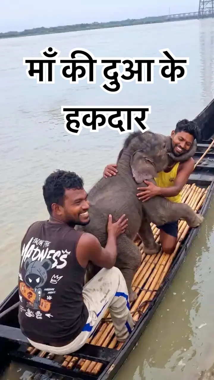 These 5 men refused to give up on a baby elephant