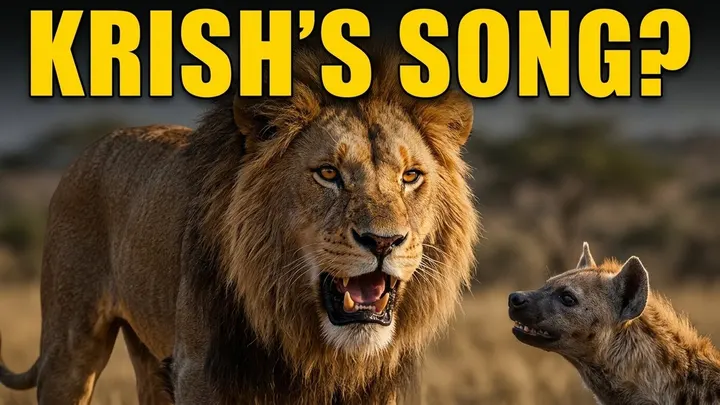 Krish Ka Sunega Gana 🤩 Lion Wildlife