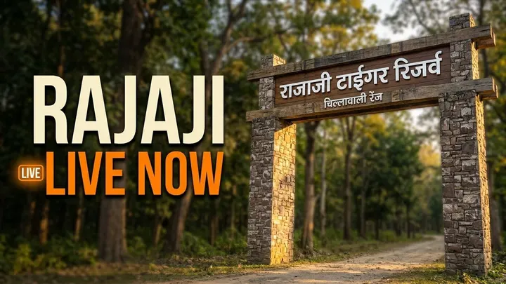 First Time at Raja Ji Tiger Reserve | Leopard Sighting Caught