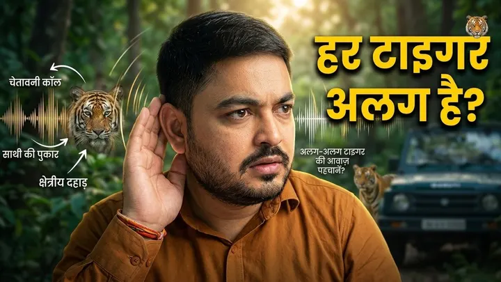Everyone Finds the Tiger in Bandhavgarh 🐯 So Why Do 90% of People Miss the Real Story?