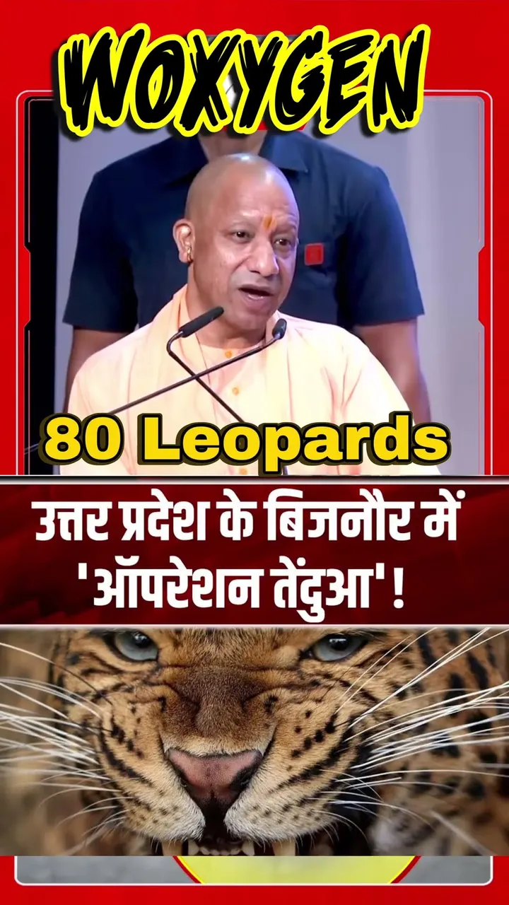 80 Leopards Rescued but Nobody Told the Farmers 🐆😱