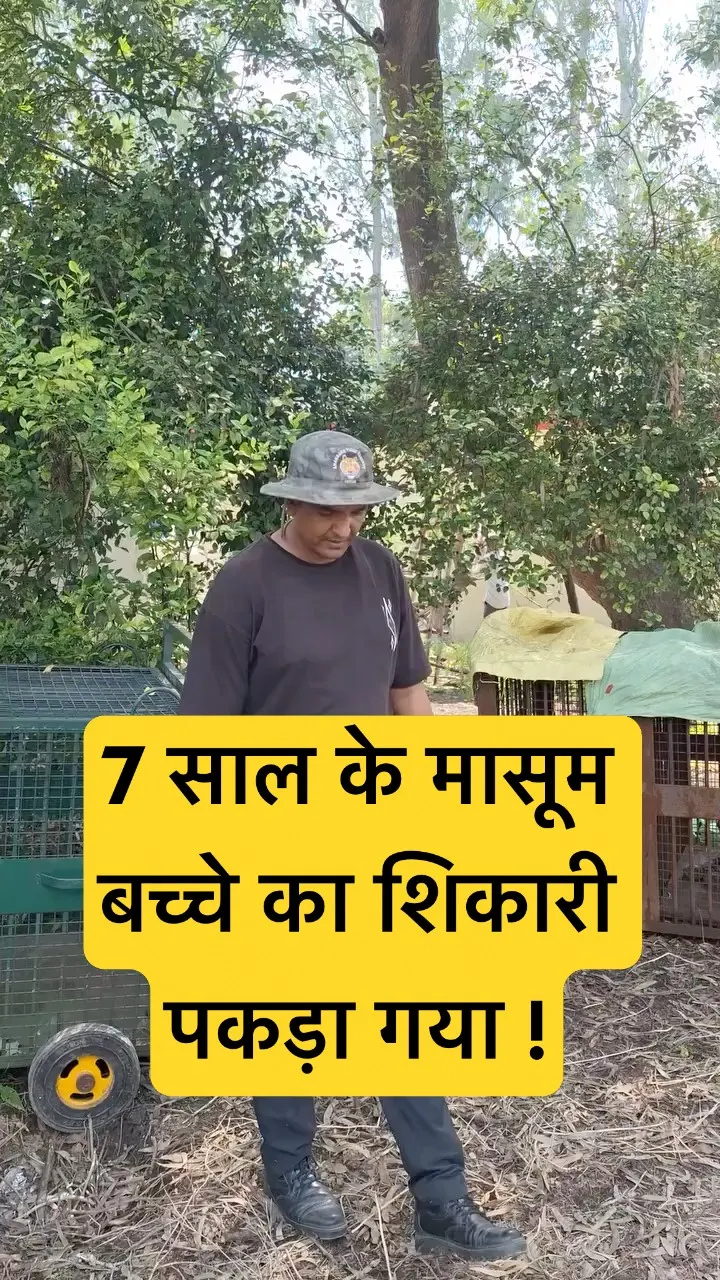 Man-Eater Leopard Caught 😱 Real Rescue Operation