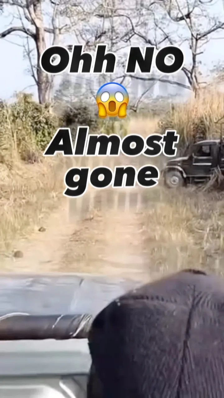 Safari me hathi se aamna saamna, rooh kaanp gayi 😰
