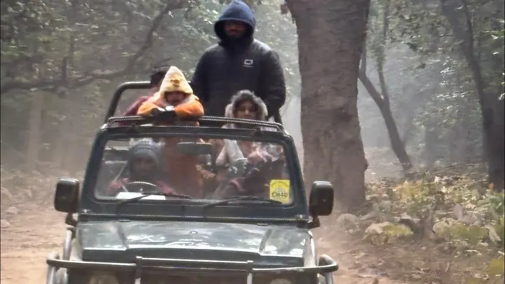 WOXYGEN is live RajaJi National Park