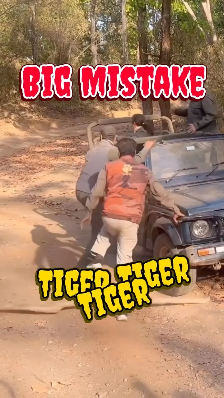 Stranded in Tiger Territory (BIG MISTAKE)