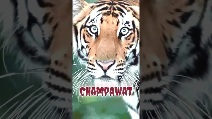Champawat